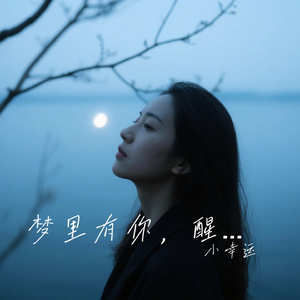 梦里有你，醒来无你