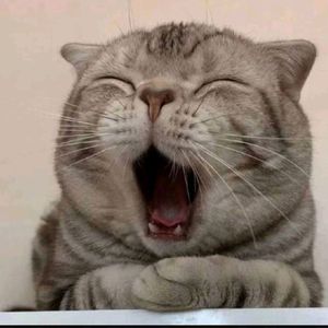 _你看到的我激情翻唱