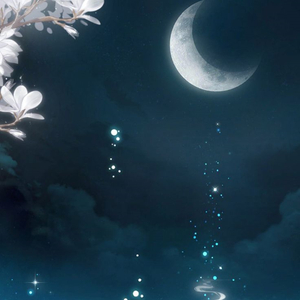 月明かりの道標