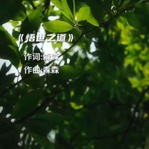 悟世之道