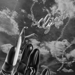 Youngstars- (Audhentik Remix)