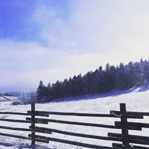 flex up (feat. Z1M & Vrss)