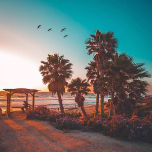 黄金年代（prod by 今晚吃鱼丸）