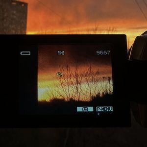 последний вечер (feat. ugly plug)