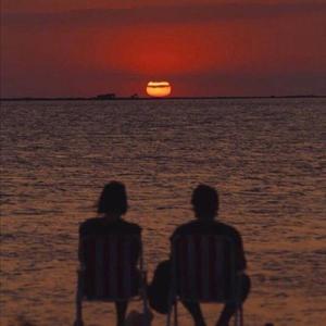 出嫁（翻自 毛不易）