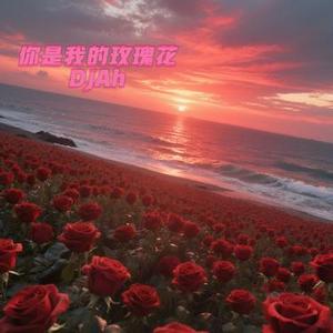 你是我的玫瑰花 (Remix)