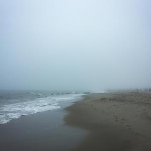 Demon Gold (2004 Version) (2004 Version)