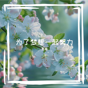 沙漠行者的旅途