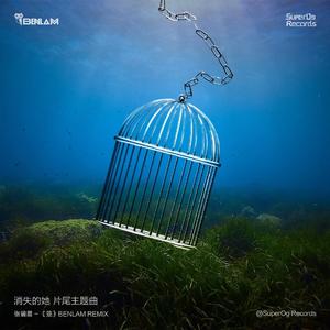 张碧晨 - 笼(Benlam remix)