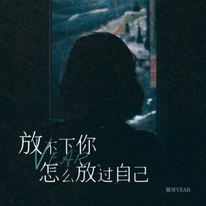 放不下你怎么放过自己 (伴奏)
