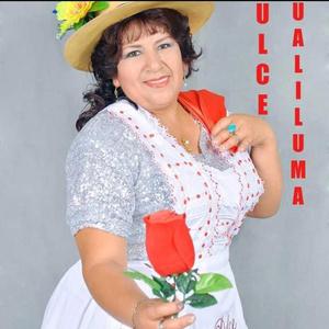 JILGUERITO (HUALINA)