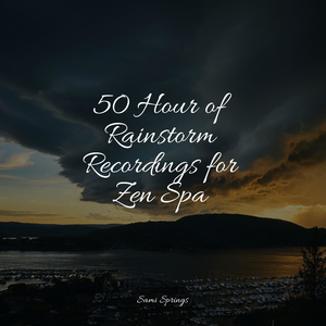 Seagulls on the Beach (Relaxing Ocean Waves)