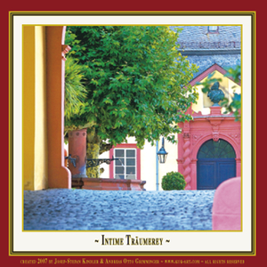 Hölderlins Wahnsinn