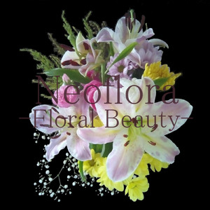 流線形ノクターン