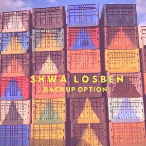 Backup Option