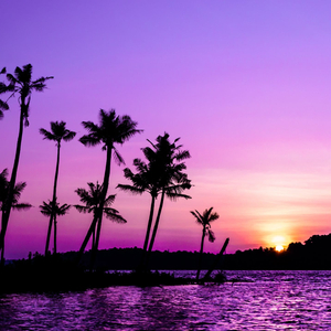 Cinthie (Radio Edit)