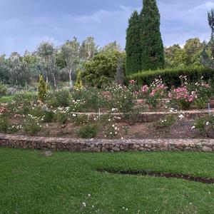 Dont try this at home!