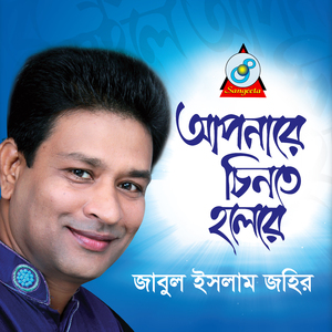 Ami Parinare Sohite