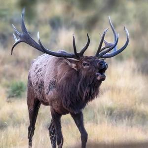 September Talks