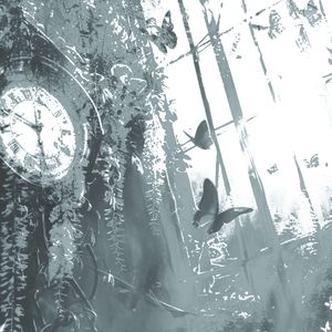 爱是未拆封的标本