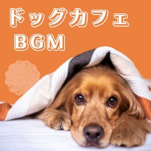 犬猫のストレス解消音楽