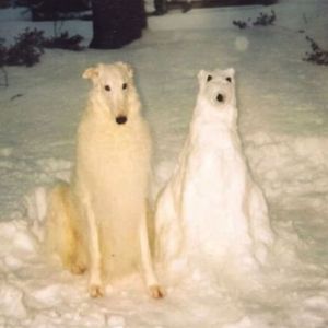 干嘛浪费我感情