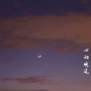 心动晚风