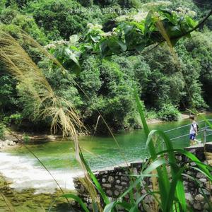 白石 (Instrumentals)