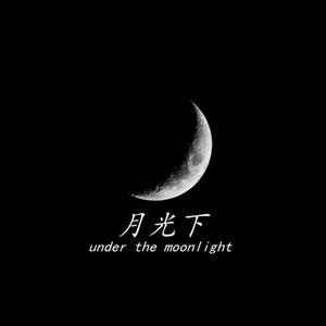 月光下