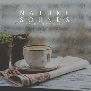 Rain Sounds For Sleeping