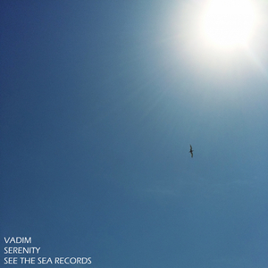 Moonlit Night (Original Mix)