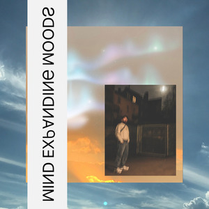 Vibekiller