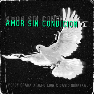 Amor Sin Condición