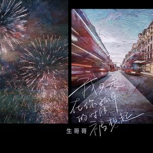 我只是在你孤单时被想起