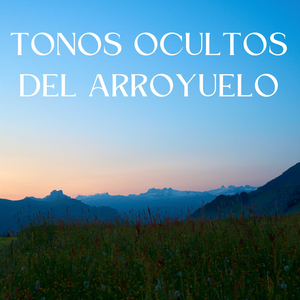 Nota Amortiguada