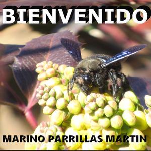 ADELANTE NO TE RINDAS