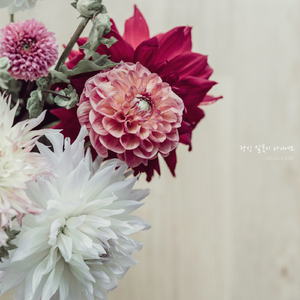 당신 잘못이 아니에요