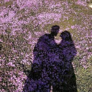 以年为单位的恋爱