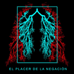 El Placer de la Negación
