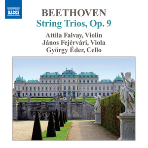 String Trio in G Major, Op. 9, No. 1:II. Adagio, ma non tanto, e cantabile