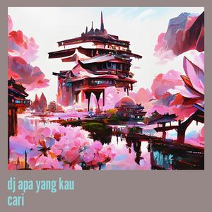 Dj Apa Yang Kau Cari