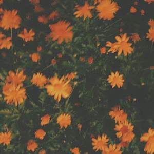 致x同学（Prod by red killer.）