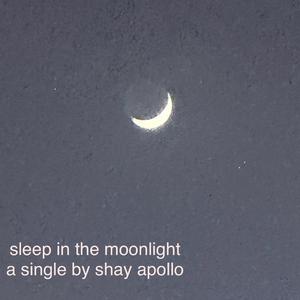 sleep in the moonlight