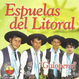 Vamos a ver como se revuelca el toro