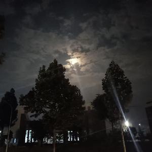 我在昨天的梦里又看见了你