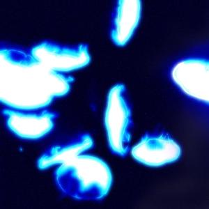 Aquatic Dub (Key Archive Remix)