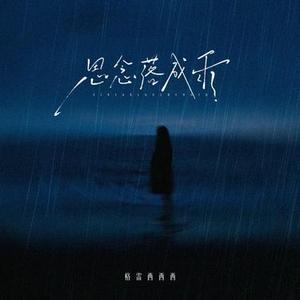 思念落成雨 (DJ风风版)0.8x降调版