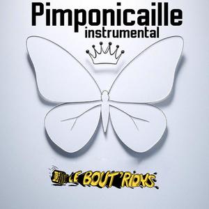 Pimponicaille Instrumental (Europe Electro version)