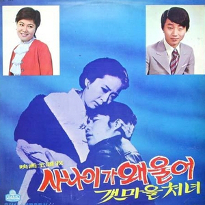 밤하늘의 기러기