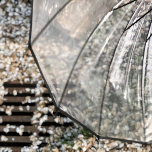 想い出は遠くの日々 （Guitar Version）｜ 秒速五厘米